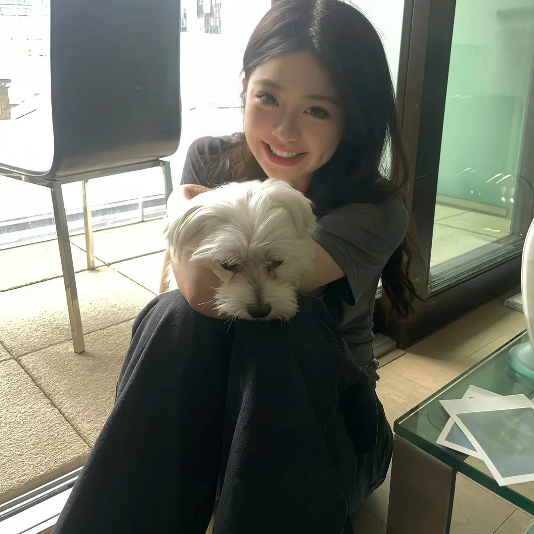 恶狼年代海报